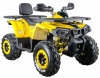 Квадроцикл 200 WILD TRACK X WINCH