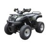Квадроцикл BEORN 200
