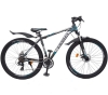 Велосипед 29" VARMA DRACON H95D серый 21 ск ст.