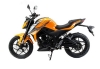 Мотоцикл 300 дорожный BIG BORE 250DF (CBS300 с балансиром) оранж 17/17